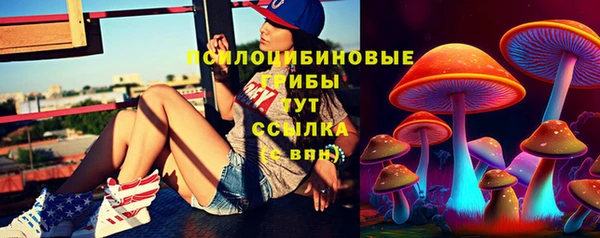 амф Нефтекумск