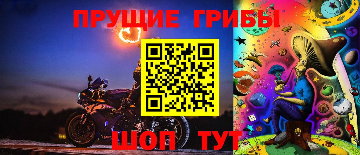 Галлюциногенные грибы GOLDEN TEACHER Россия