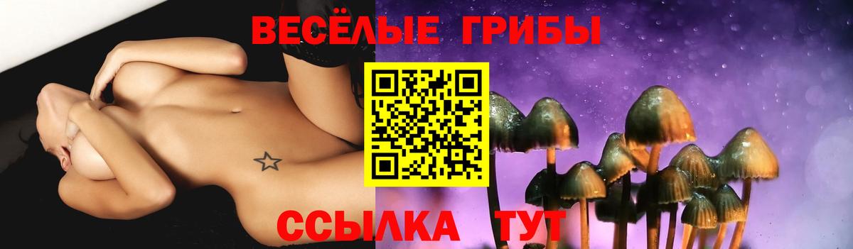 Псилоцибиновые грибы GOLDEN TEACHER  Вход с VPN  Россия 