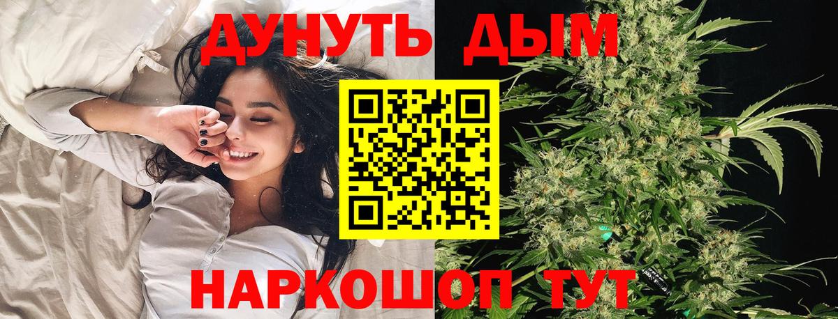 Бошки марихуана сатива Россия